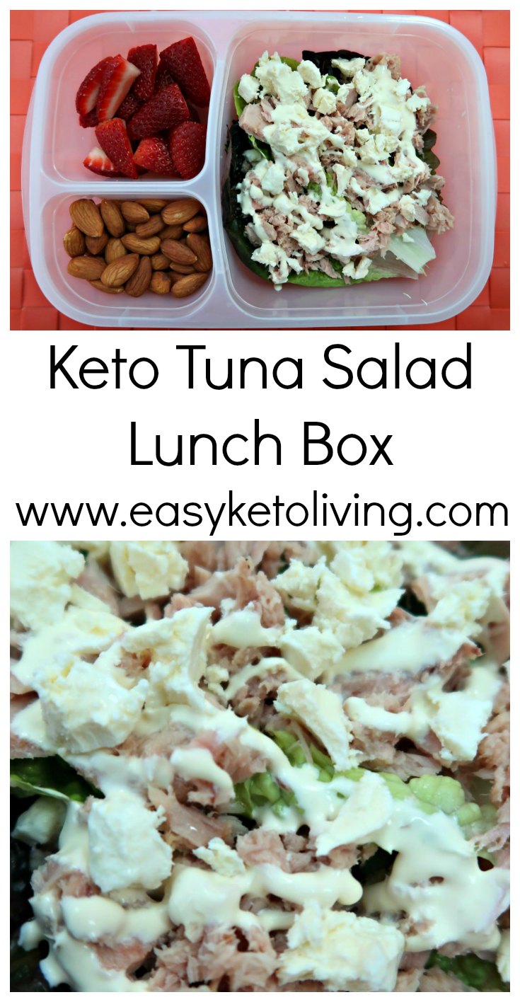 Keto Tuna Salad Lunch Box Idea Easy Low Carb Work Lunch Box Ideas healthy-and-fun-keto-lunch-box-ideas-lowcarb-abode